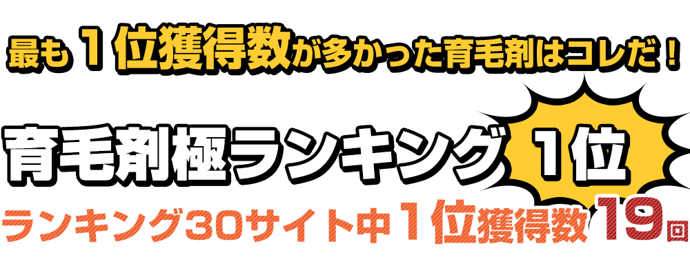 育毛剤極ランキング 1位