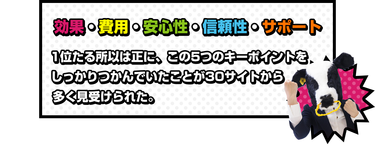 効果・費用・安心性・信頼性・サポート